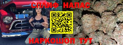 дживик Кимры