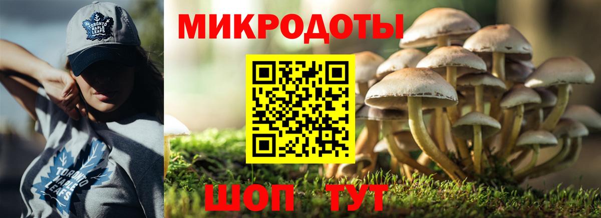 Псилоцибиновые грибы MAGIC MUSHROOMS Кузнецк